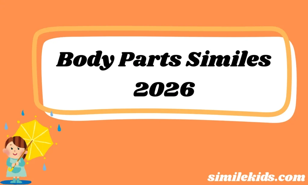 Body Parts Similes