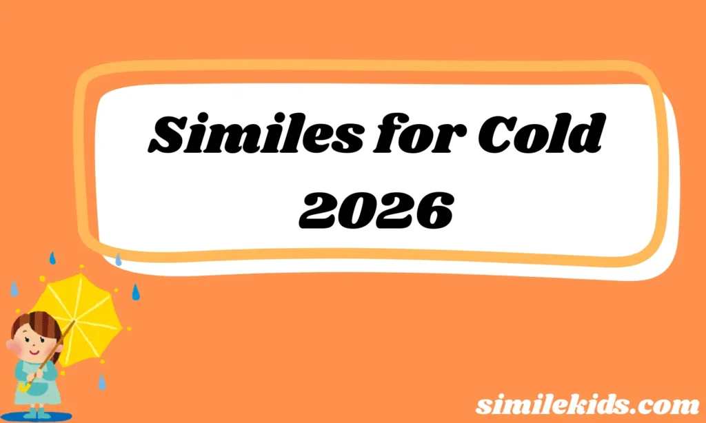 Similes for Cold