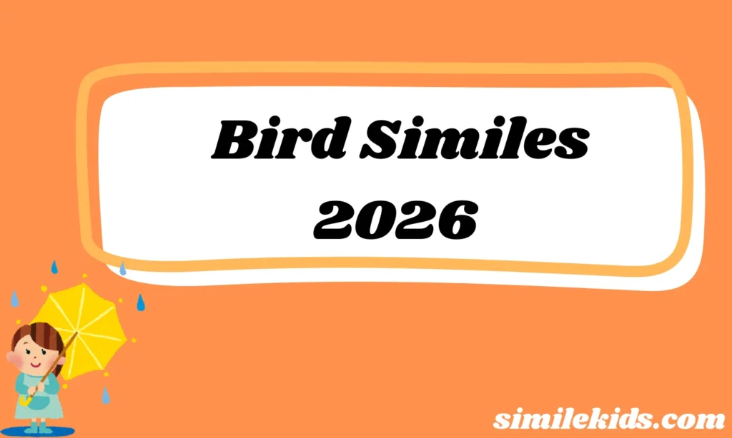 Bird Similes